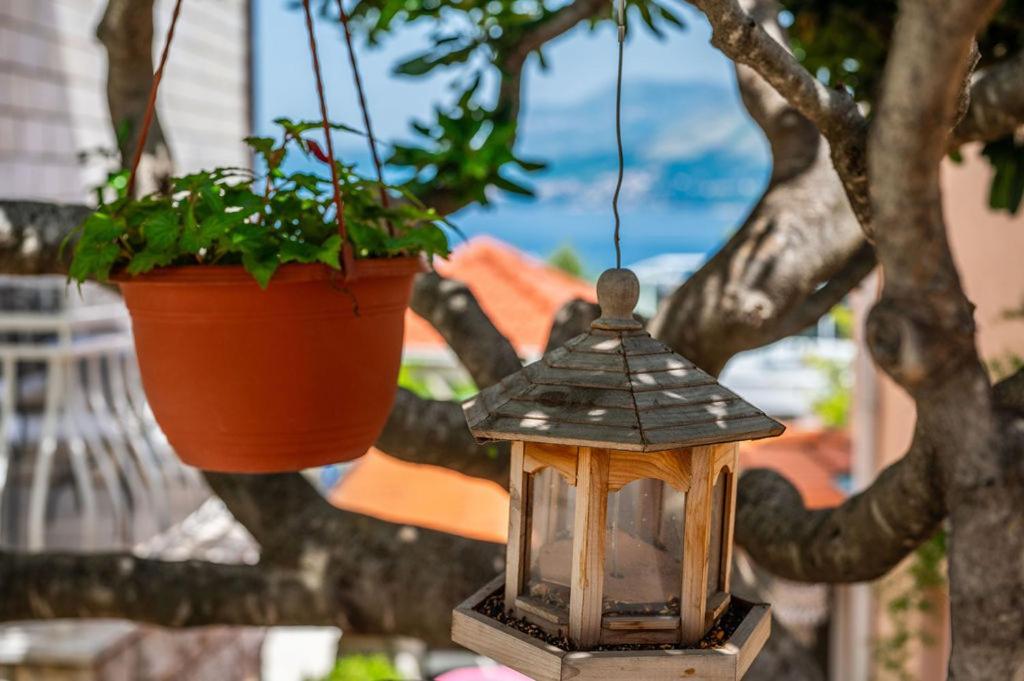 Villa Markoc Cavtat Ngoại thất bức ảnh